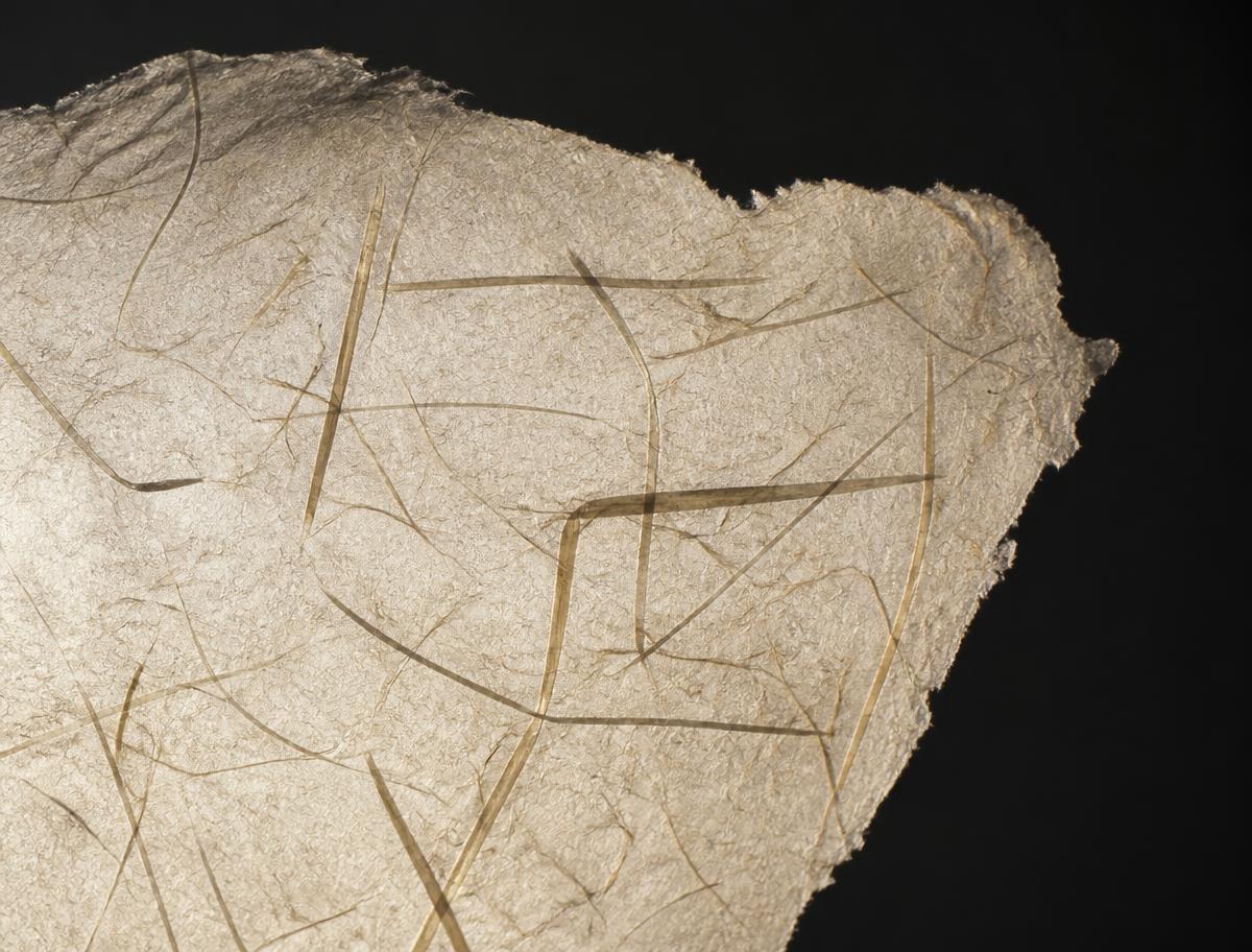 Abstract material study representing the HEIR Clear Hemp Paper development program